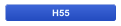 H55