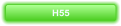 H55