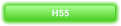 H55