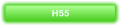 H55